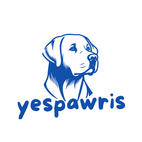 ŞAPKA